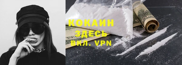 твердый Иннополис