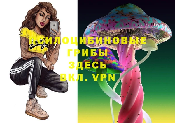 твердый Иннополис
