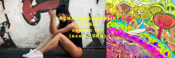 меф Инсар