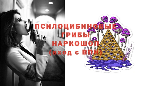 меф Инсар