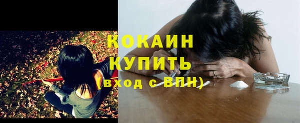 тгк Каменск-Шахтинский