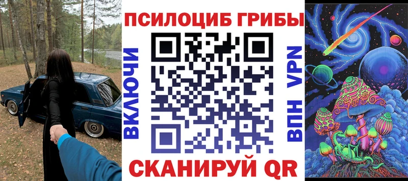 Псилоцибиновые грибы Psilocybe  купить наркоту  Красноуфимск 